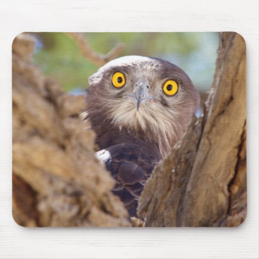 Tapis De Souris A White Breasted Snake (Devant)