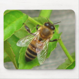 Tapis De Souris Abeille à miel