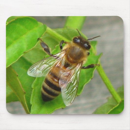 Tapis De Souris Abeille à miel (Devant)