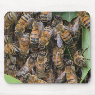 Tapis De Souris Abeille de miel