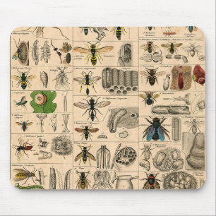 Tapis De Souris Abeille Insecte Bug Wasp Nature Peinture des abeil