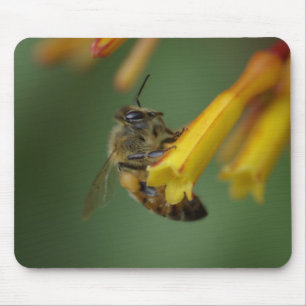 Tapis De Souris Abeille sur Firebush