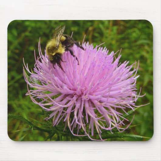 Tapis De Souris Abeille sur la nature de la fleur de chardon (Devant)
