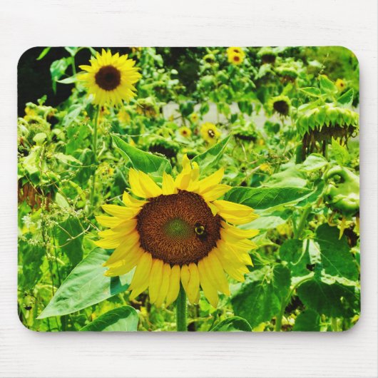 Tapis De Souris Abeille sur tournesol jaune (Devant)