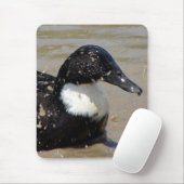 Tapis De Souris Accélérer le canard (Avec souris)