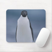 Tapis De Souris Adelie Penguin sur la glace (Avec souris)