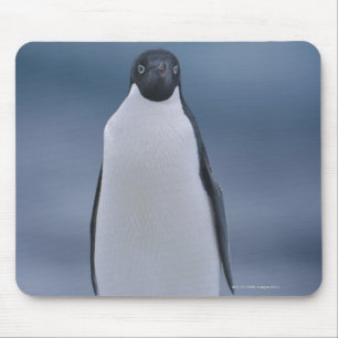 Tapis De Souris Adelie Penguin sur la glace
