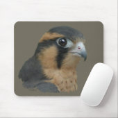 Tapis De Souris ADiplomado (Avec souris)