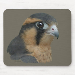 Tapis De Souris ADiplomado