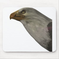 Adler
