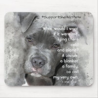 Adopter Un Abri Pour Animaux - Pit Bull