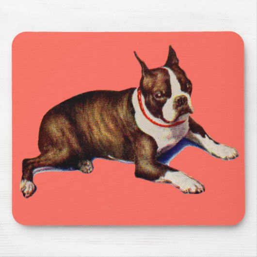 Tapis De Souris adorable Boston terrier (Devant)