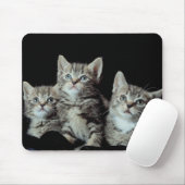 Tapis De Souris Adorable chatons (Avec souris)