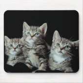 Tapis De Souris Adorable chatons (Devant)