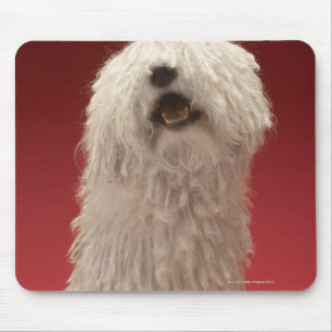 Tapis De Souris adorable chien Komondor