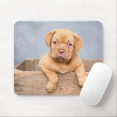 Tapis De Souris Adorable Chien Love Photo (Avec souris)