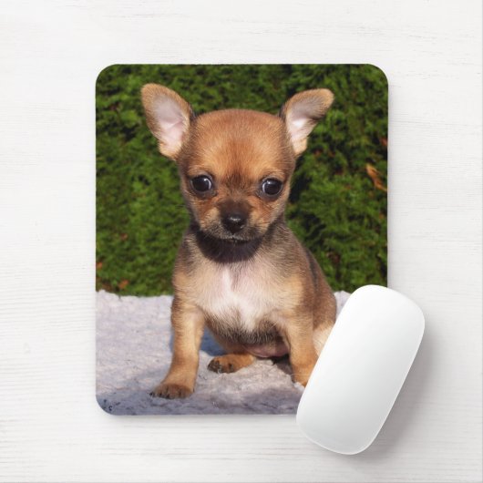 Tapis De Souris Adorable Chihuahua Chien Chiot (Avec souris)