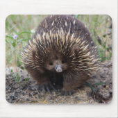 Tapis De Souris Adorable Echidna Australienne (Devant)