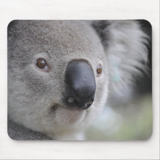 Tapis De Souris Adorable Ours Koala
