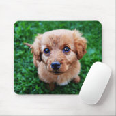 Tapis De Souris Adorable Puppy Photo (Avec souris)