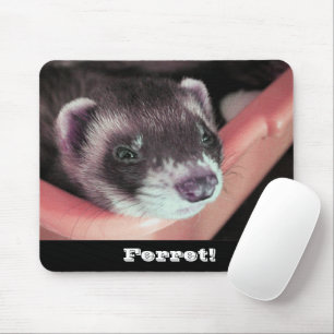 Tapis De Souris Adorable Sable Ferret Photo