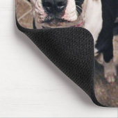 Tapis De Souris adorables chiots pitbull chiens (Coin)