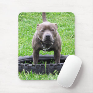 Tapis De Souris Adulte Homme Staffordshire Terrier Prêt À Jouer,