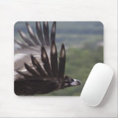 Tapis De Souris Aegypius monachus (Avec souris)