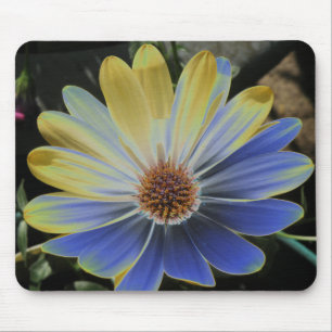 Tapis De Souris African Daisy Lapis and Gold Mousepad
