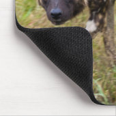 Tapis De Souris African Wild Dog, Madikwe Game (Coin)
