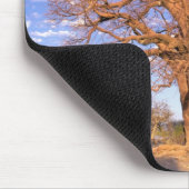Tapis De Souris Afrique, Botswana, delta de l'Okavango. Baobab (Coin)