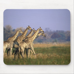 Tapis De Souris Afrique, Botswana, Réserve de jeu de Moremi
