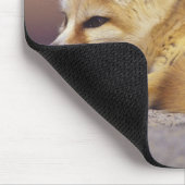 Tapis De Souris Afrique du Nord. Fennec Fennecus zerda) (Coin)