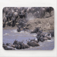 Afrique, Kenya, Parc national Masai Mara.