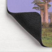 Tapis De Souris Afrique, Madagascar, Morondava. Baobabs (Coin)