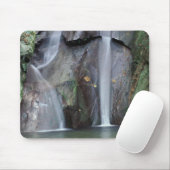 Tapis De Souris Afrique, Ouganda, forêt tropicale impénétrable de (Avec souris)