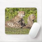 Tapis De Souris Afrique. Tanzanie. Cheetah mère et petits 2 (Avec souris)
