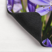 Tapis De Souris Agapanthus (Coin)