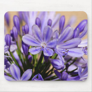 Tapis De Souris Agapanthus