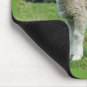 Tapis De Souris Agneau mou boueux mouton dans la prairie (Coin)