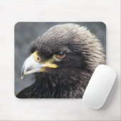 TAPIS DE SOURIS AIGLE (Avec souris)