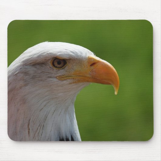 Tapis De Souris Aigle (Devant)
