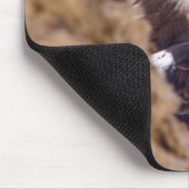 Tapis De Souris Aigle à serpent à poitrine blanche (Coin)