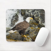 Tapis De Souris Aigle à tête blanche (Avec souris)