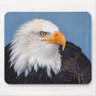 Tapis De Souris aigle à tête blanche, faucon, rapace