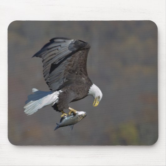 Tapis De Souris Aigle Bald avec un poisson (Devant)