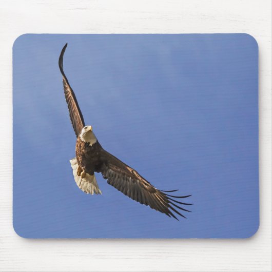 Tapis De Souris Aigle chauve (Devant)
