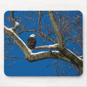 Tapis De Souris Aigle dans un arbre à neige