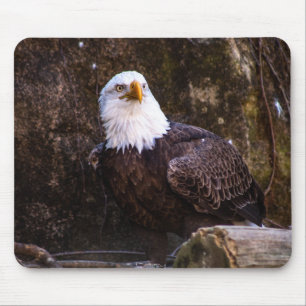 Tapis De Souris Aigle de Bald