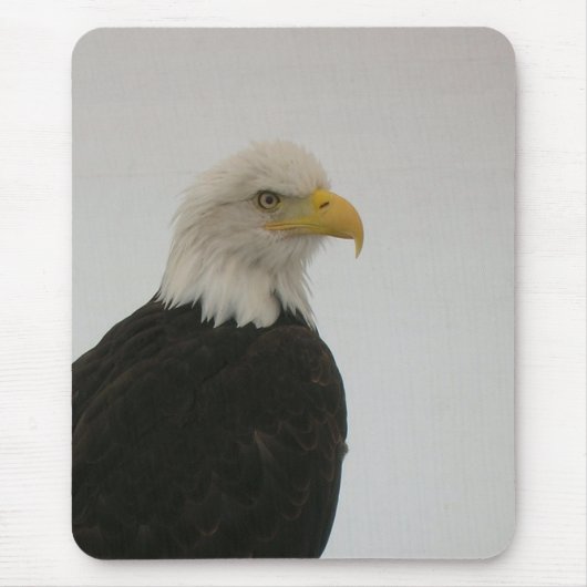 Tapis De Souris Aigle de Bald (Devant)